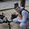 Wycieczka do berlińskiego zoo
