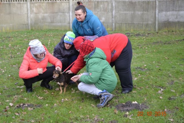 Wizyta w schronisku dla zwierząt w Sosnowicach