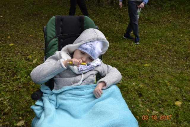 Grzybobranie i Sprzątanie Świata