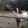 Turnus rehabilitacyjny w Stawnicy