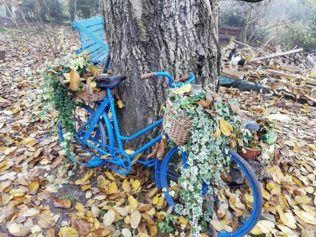 Jesień