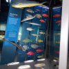 Wycieczka do Oceanarium