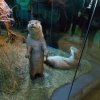 Wycieczka do Oceanarium