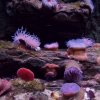 Wycieczka do Oceanarium