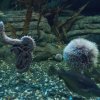 Wycieczka do Oceanarium