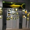 Wycieczka do Oceanarium