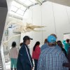 Wycieczka do Oceanarium