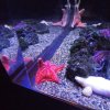 Wycieczka do Oceanarium