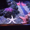 Wycieczka do Oceanarium