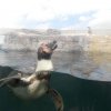 Wycieczka do Oceanarium