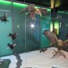 Wycieczka do Oceanarium