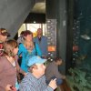 Wycieczka do Oceanarium