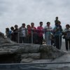 Wycieczka do Oceanarium