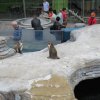 Wycieczka do Oceanarium