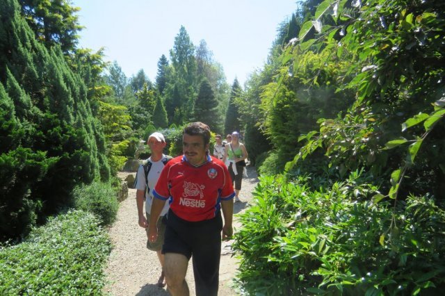 Dobrzyca