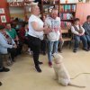 Dogoterapia