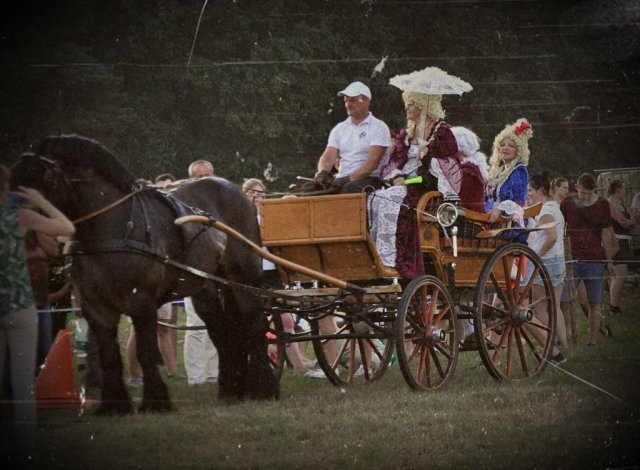 Dzień Konia