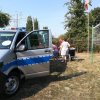 Policja