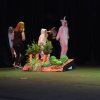 z__fests66